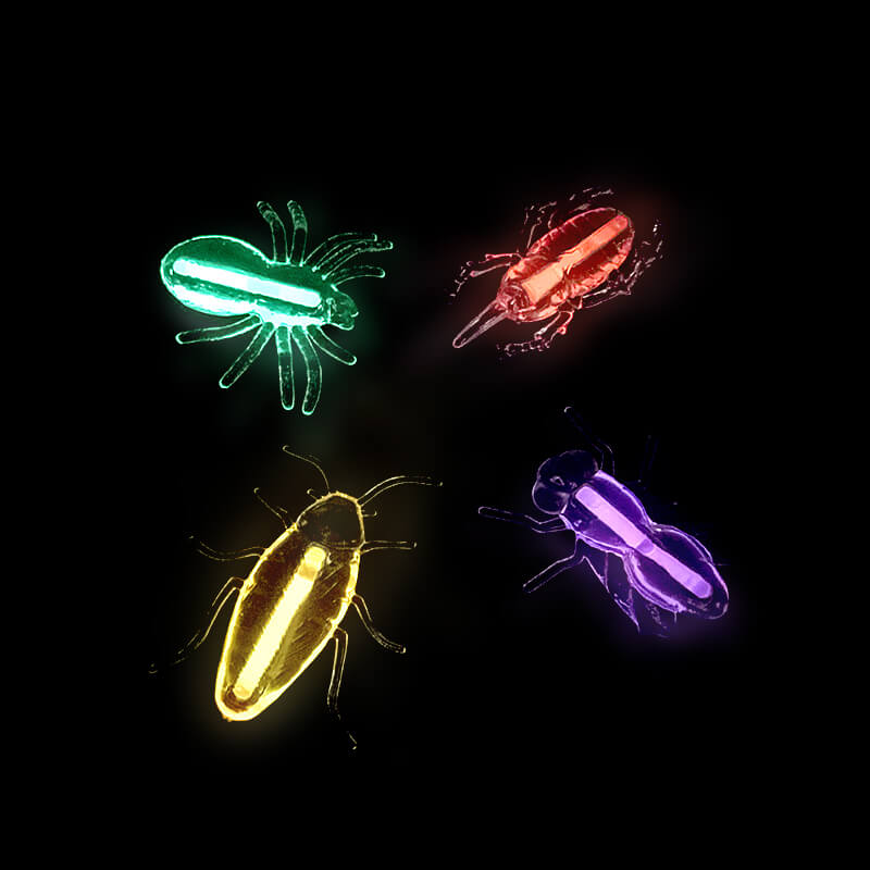 côn trùng dạ quang phát sáng glow critters côn trùng dạ quang phát sáng glow critters