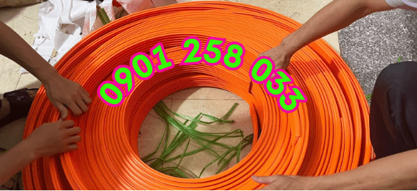 Ray điện 6P-50A Ray điện 6P-50A