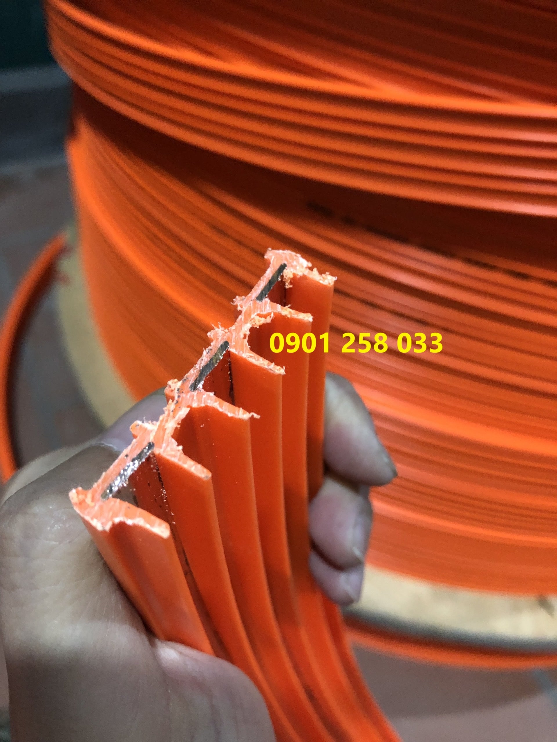 Ray điện Ray điện