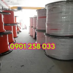 Ray điện an toàn cầu trục