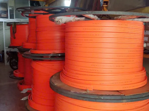 Ray điện an toàn cầu trục 3 pha, 4 pha, 6 pha