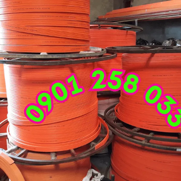 Ray điện an toàn cầu trục 4P75A