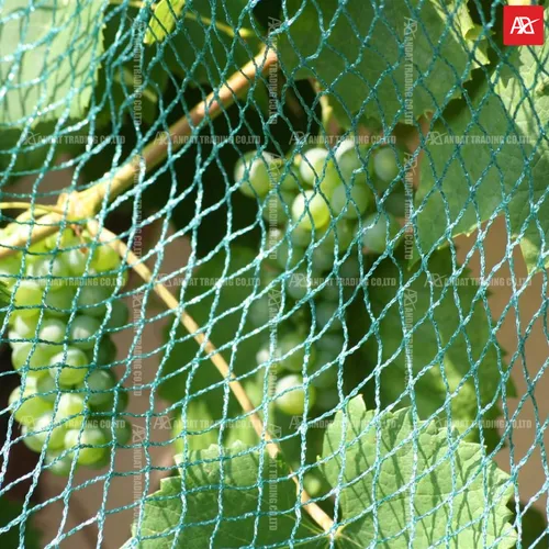 Lưới chắn container phi 2 10cm sợi cước