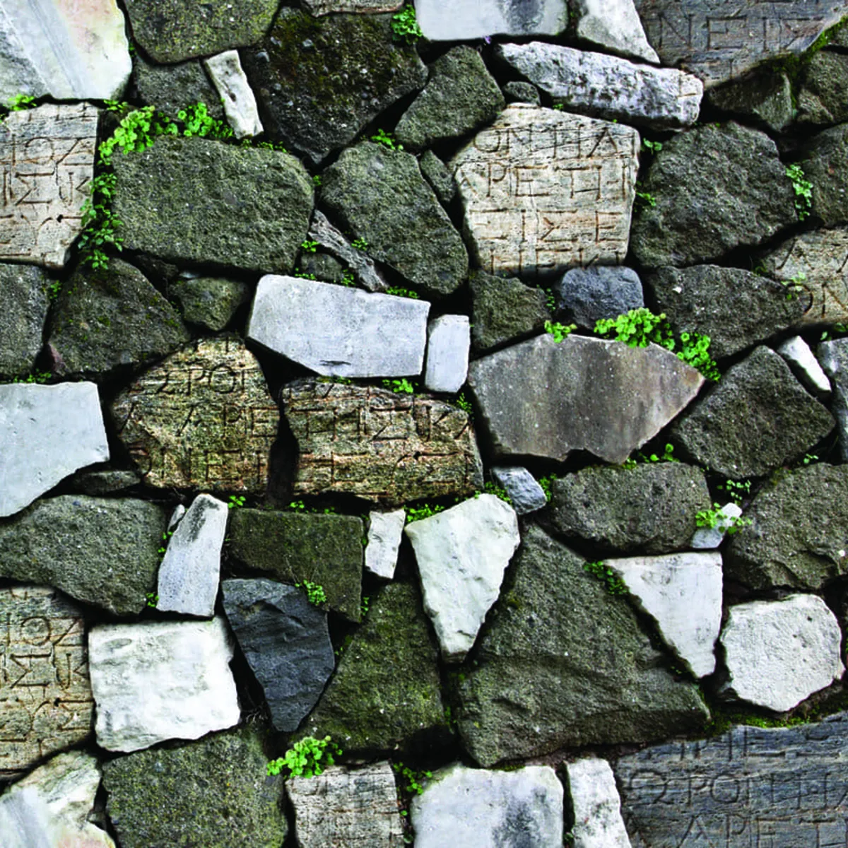 Stone & Natural  Stone & Natural