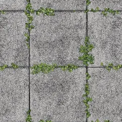 Giấy Dán Tường Base Mã 3819-2 Vân Cỏ Mọc Trên Tường Đá Giấy Dán Tường Base Mã 3819-2 Vân Cỏ Mọc Trên Tường Đá