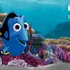 Tranh Dán Tường Hoạt Hình: Dory Trong Finding Nemo DW-053