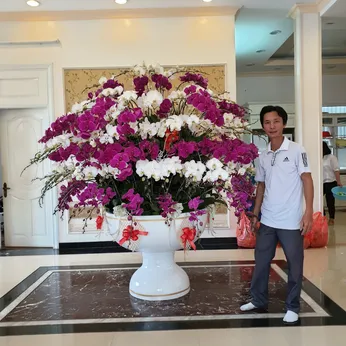 Chậu Lan Hồ Điệp Nhiều Màu 43