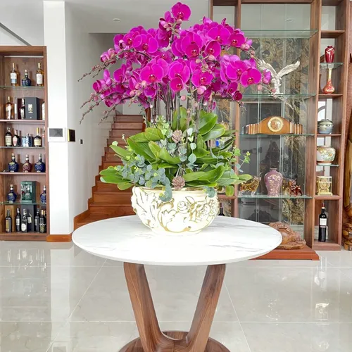 Chậu Lan Hồ Điệp Tím Bình Dương 11