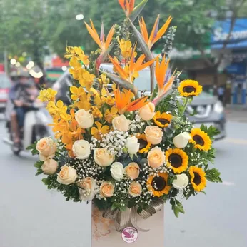 Hoa Tươi Tại Huyện Hàm Tân Bình Thuận