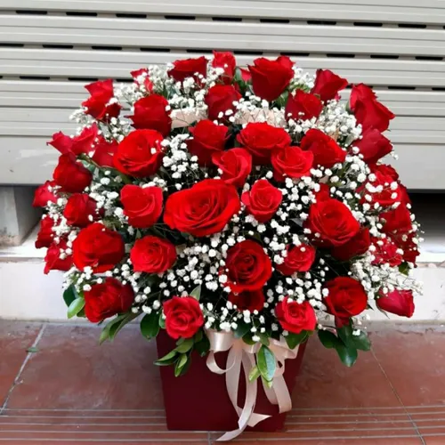 Hoa Mừng Ngày Lễ Quốc Khánh 28