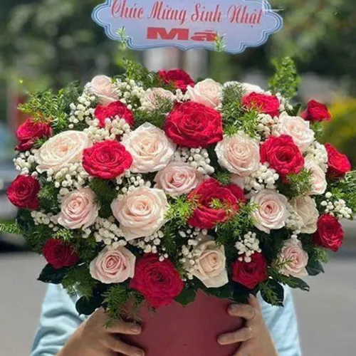 Hoa Mừng Ngày Lễ Quốc Khánh 43