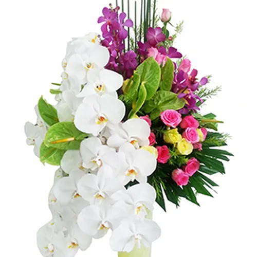 Bình Hoa Tặng Chúc Mừng 50