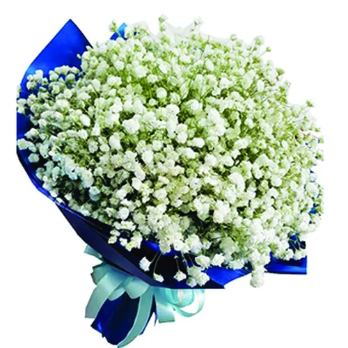 Bó Hoa Tặng Chúc Mừng 27