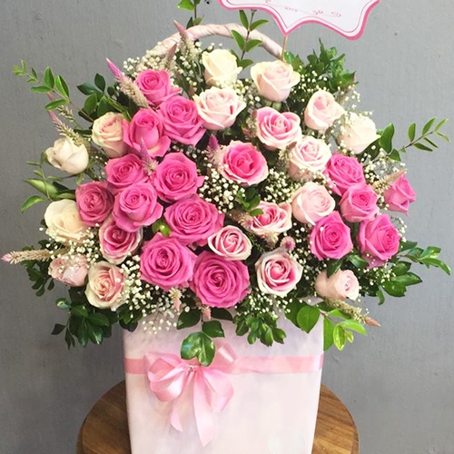Điện Hoa Điện Biên