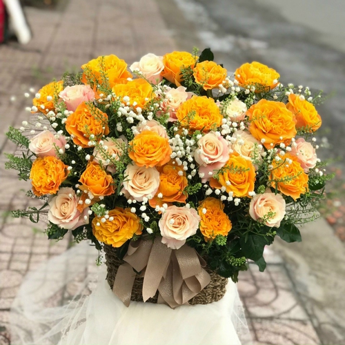 Điện Hoa Lai Châu