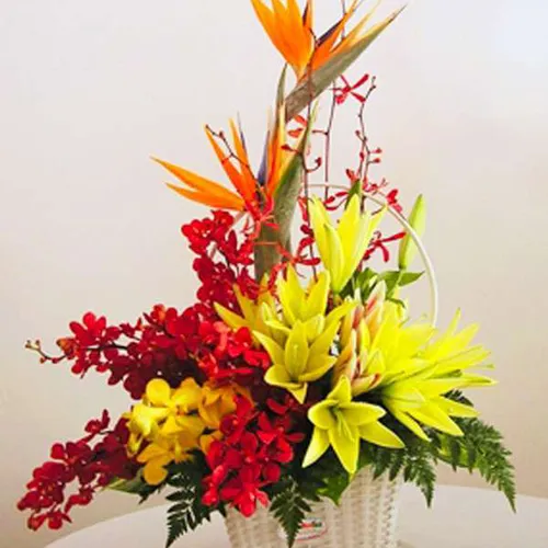 Giỏ Tặng Hoa Chúc Mừng 08