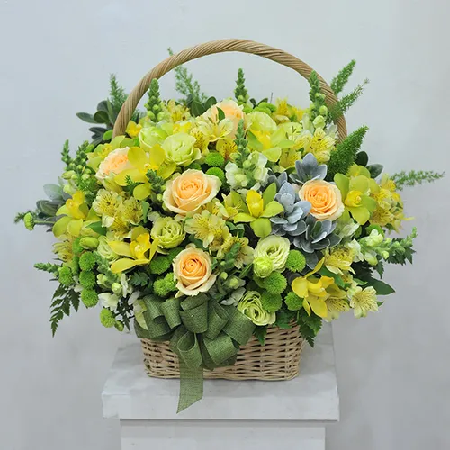 Giỏ Tặng Hoa Chúc Mừng 33