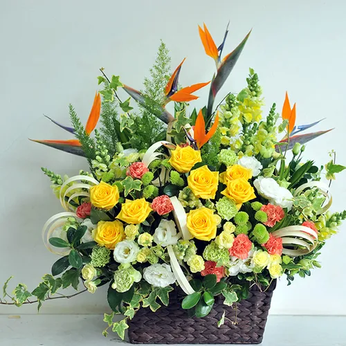 Giỏ Tặng Hoa Chúc Mừng 37