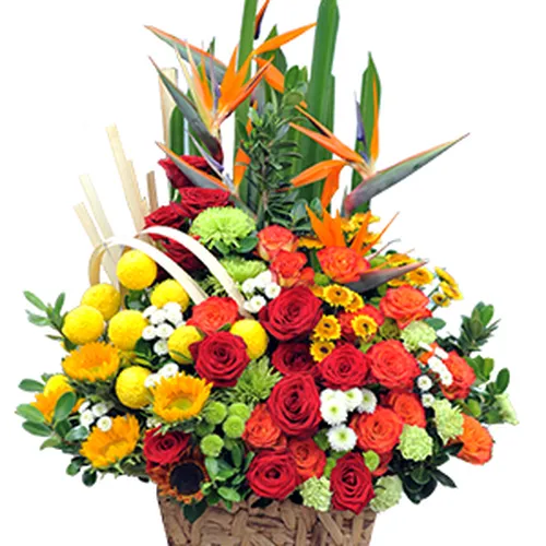 Giỏ Tặng Hoa Chúc Mừng 44