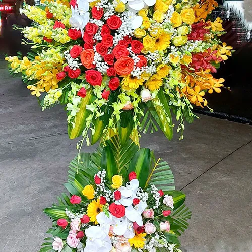 Hoa Chúc Mừng Khai Giảng Tại Điện Biên