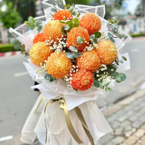 Hoa Hồng Tình Yêu 19