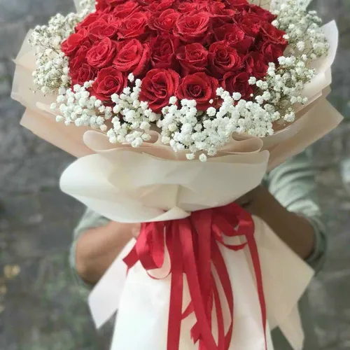 Hoa Hồng Tình Yêu 36