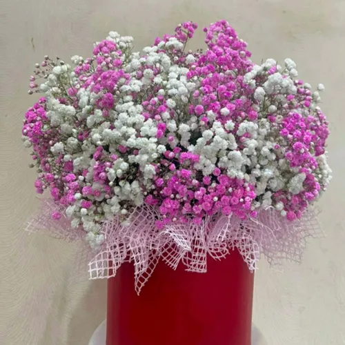 Hoa Ngày Lễ 20/10 tại Đà Nẵng