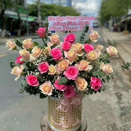 Hoa Ngày Nhà Giáo Việt Nam 20/11 Tại Bến Tre