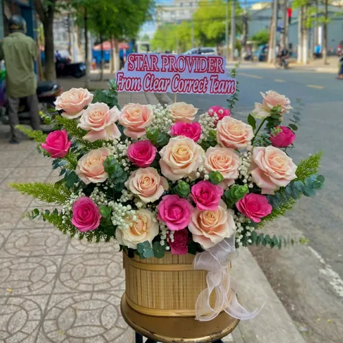 Hoa Ngày Nhà Giáo Việt Nam 20/11 Tại Bình Thuận