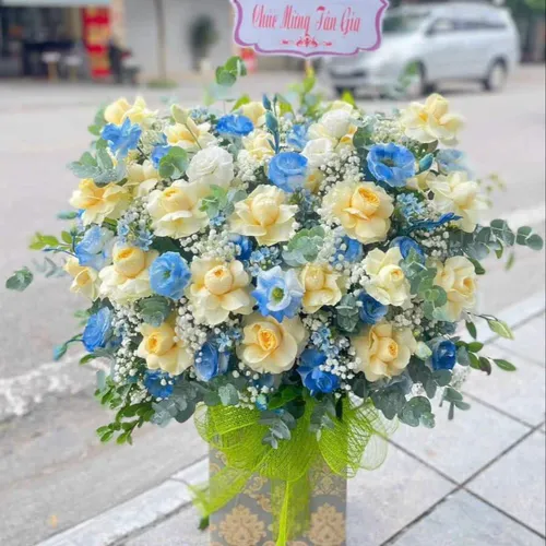 Hoa Ngày Nhà Giáo Việt Nam 20/11 Tại Đồng Tháp