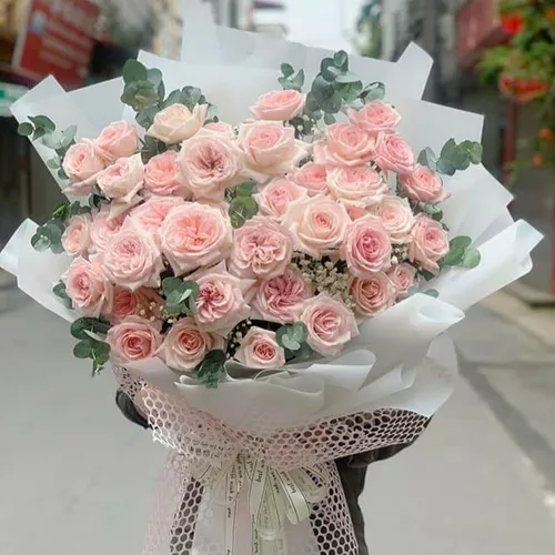 Hoa Ngày Nhà Giáo Việt Nam 20/11 Tại Gia Lai