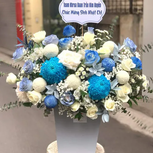 Hoa Ngày Nhà Giáo Việt Nam 20/11 Tại Long An