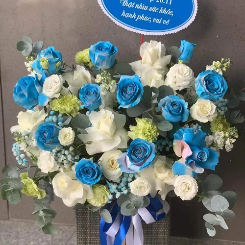 Hoa Ngày Nhà Giáo Việt Nam 20/11 Tại Tây Ninh