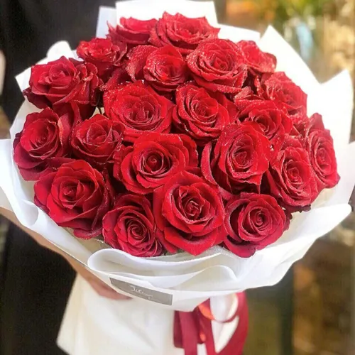 Hoa Tình Yêu Việt Nam 19