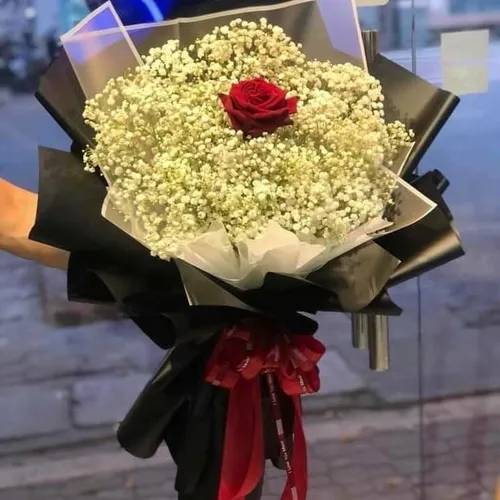 Hoa Tình Yêu Việt Nam 21