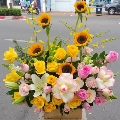 Hoa Tươi Tại Hà Tĩnh