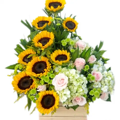 Hộp Hoa Tươi Chúc Mừng 02