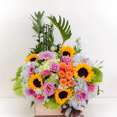 Hộp Hoa Tươi Chúc Mừng 13