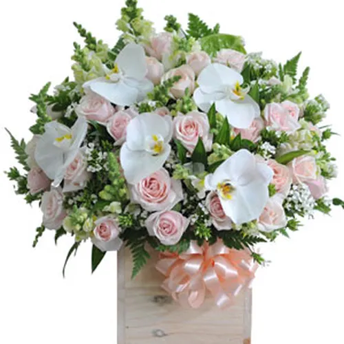 Hộp Hoa Tươi Chúc Mừng 23