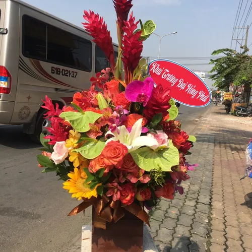 Hộp Hoa Tươi Chúc Mừng 48