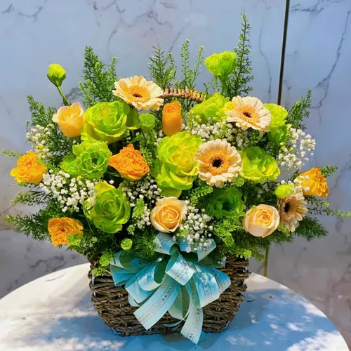 Shop Hoa Đồng Tháp