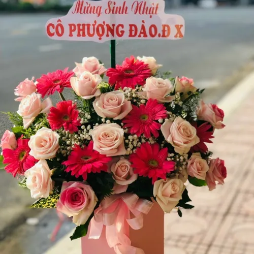 Shop Hoa Khánh Hòa