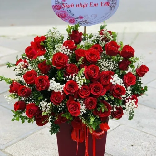 Shop Hoa Tươi Bình Định