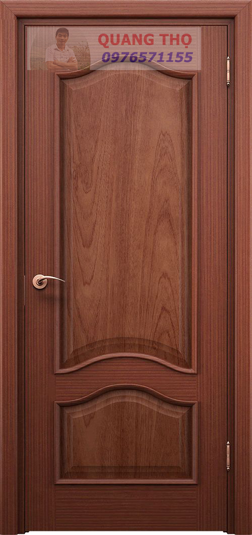 Mẫu cửa gỗ đẹp 05