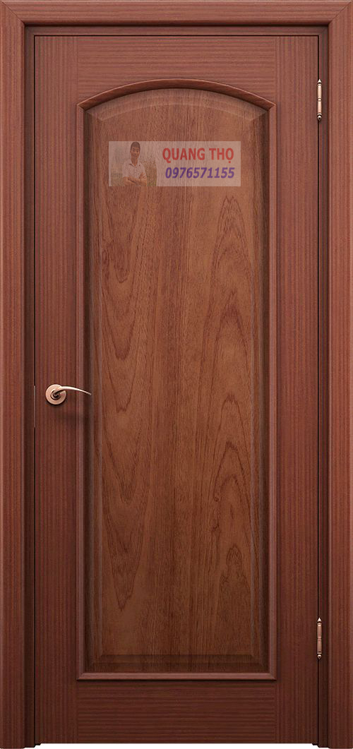 Mẫu cửa gỗ đẹp 09