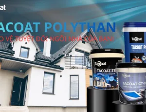 Sơn Chống Thấm Lộ Thiên