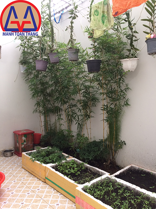 Sân sau nhà phố song lập Quận 12