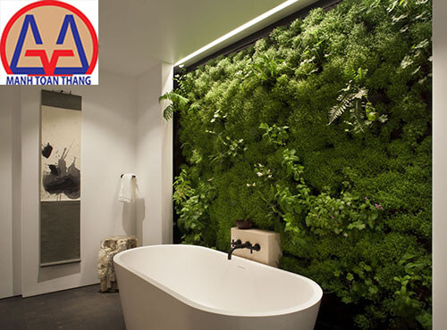 Nhà vệ sinh xanh tại Bình Dương