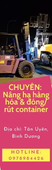 cho-thue-xe-nang-cu-tai-an-phu-binh-duong