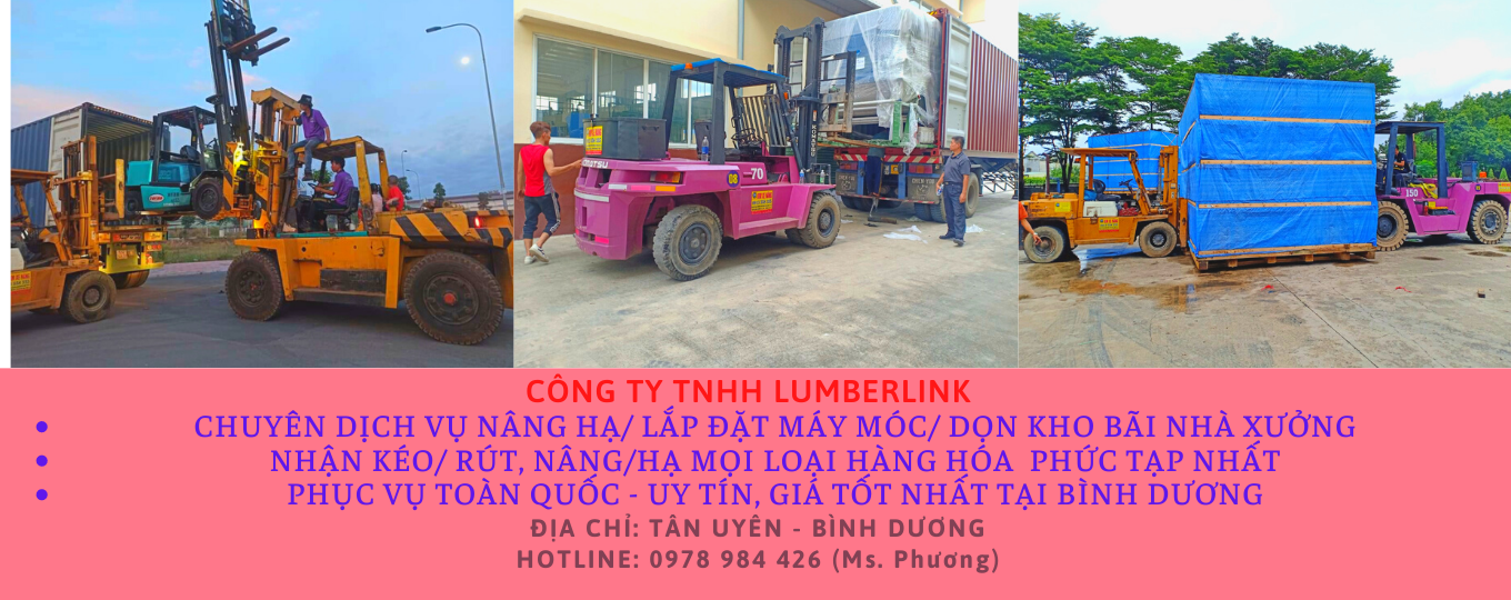 cho-thue-xe-nang-rut-hang-tu-container-tai-kcn-nam-tan-uyen-binh-duong